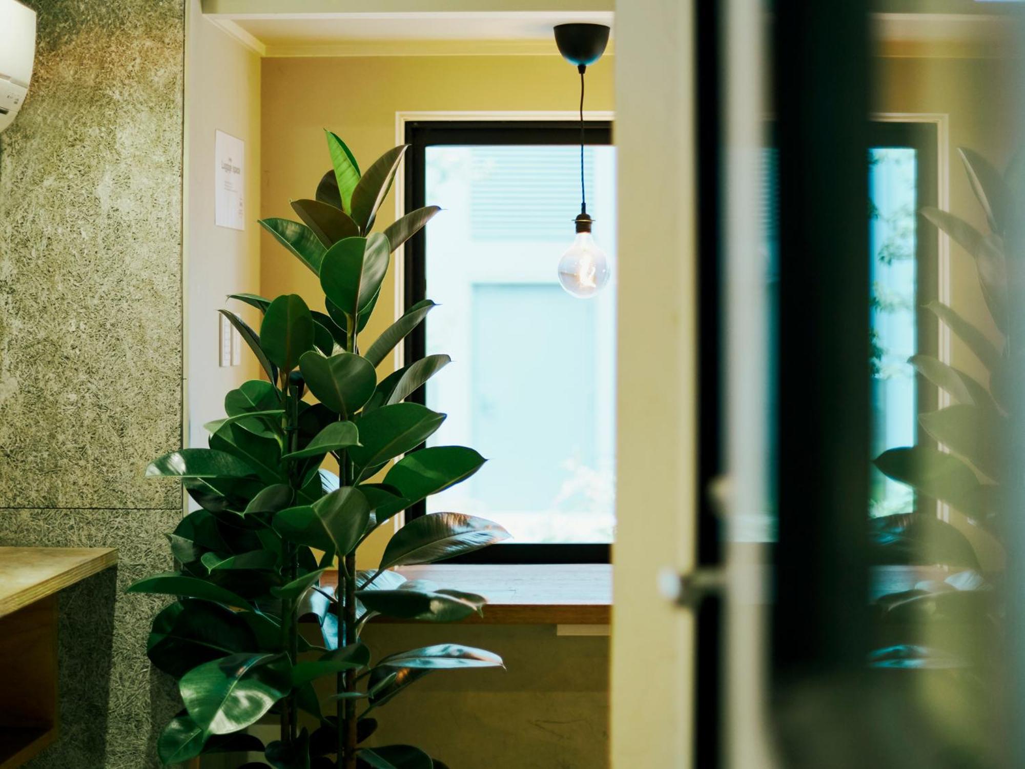 Akasaka Guesthouse Hive Tokyo Exterior photo